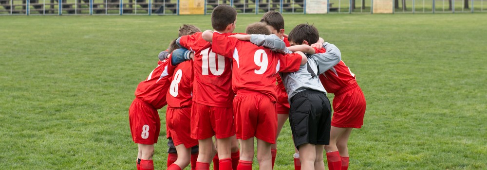 Michigan Youth Soccer League